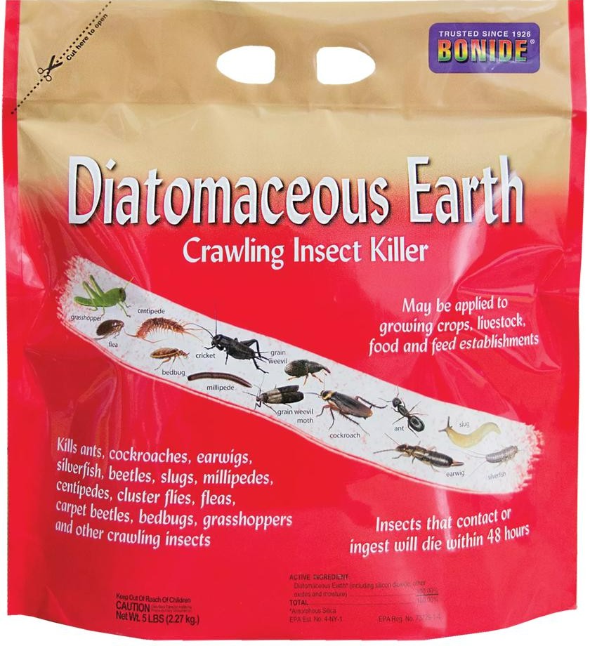 Diatomaceous Earth 1.jpg