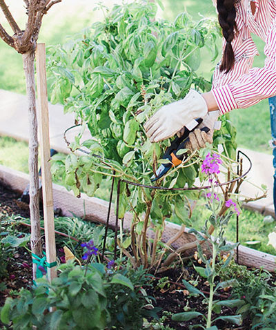 Obelisk to Garden Beds 6.jpg