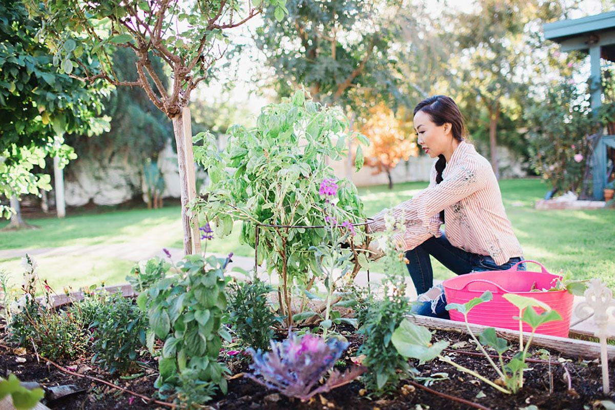 Obelisk to Garden Beds 8.jpg