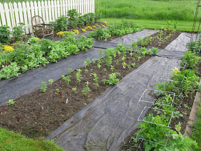 Weeding With a Broom.jpg