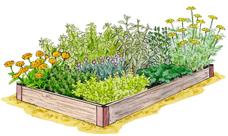 Herb garden ideas