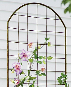 flat metal trellis