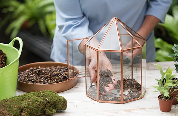 Gravel for drainage in terrarium