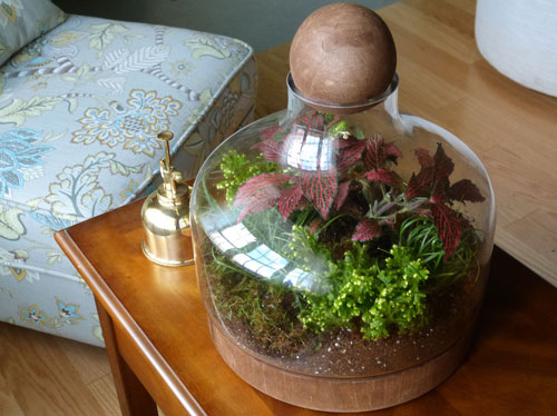 large glass and wood terrarium with foliage plants 