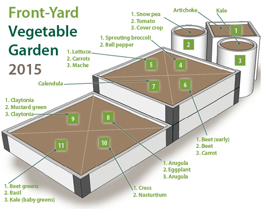 Planting plan for urban garden