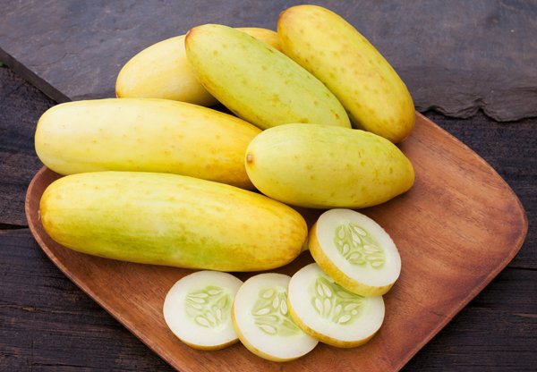 Poona Kheera cucumber