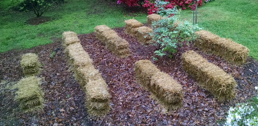 Straw bales before planting