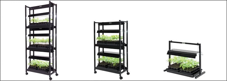 Compact SunLite Gardens 