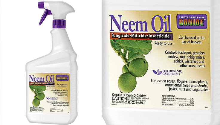 neem oil