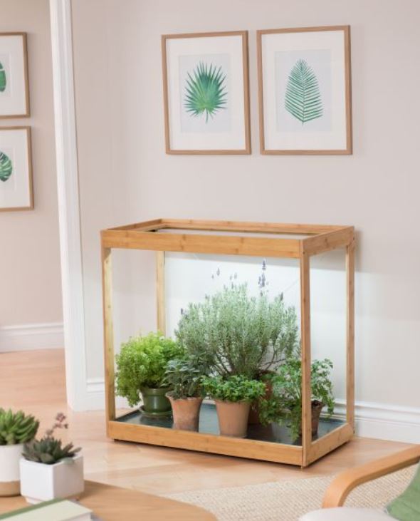 lavender and herbs growing under lights indoors 