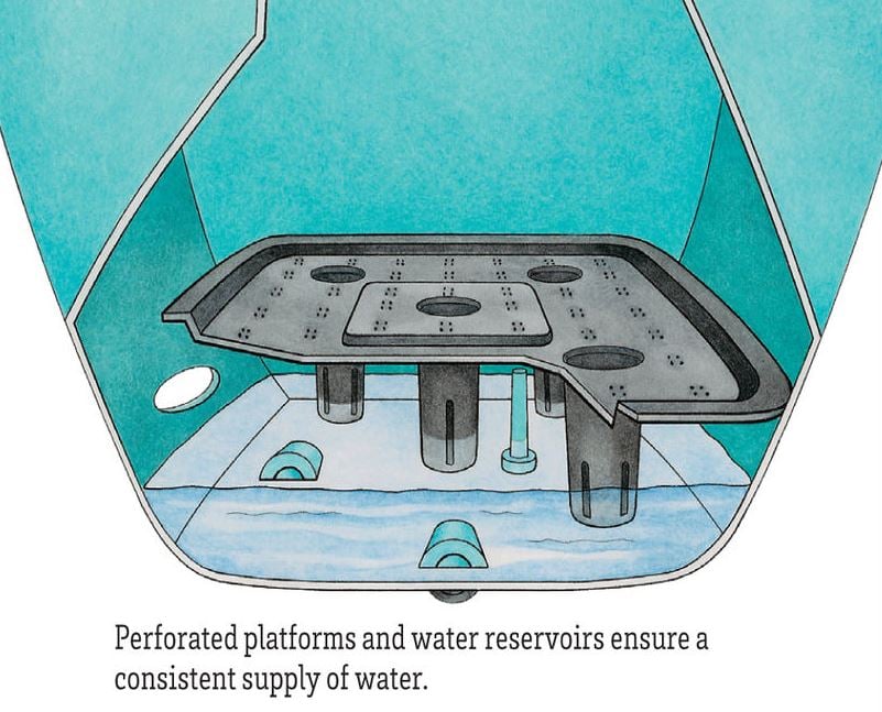 How self-watering planters work