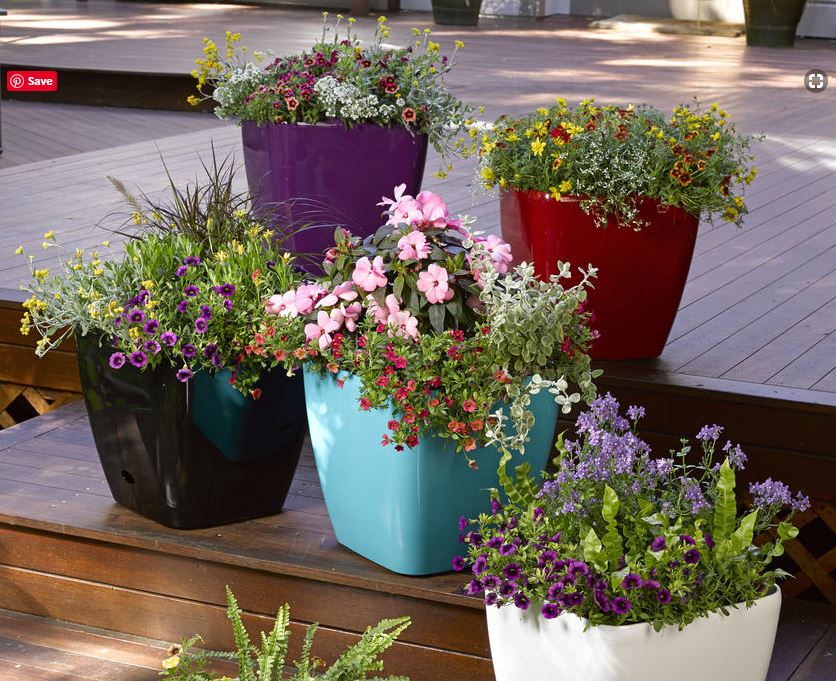 Planters with wheels