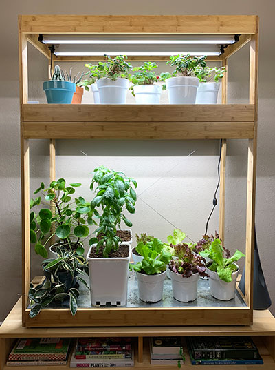 Stacked Bamboo Light Garden units with plants