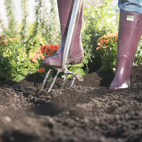 Preparing raised bed for planting