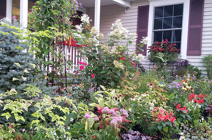 Small-space flower garden