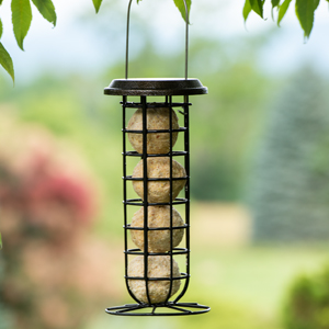  Suet Feeder