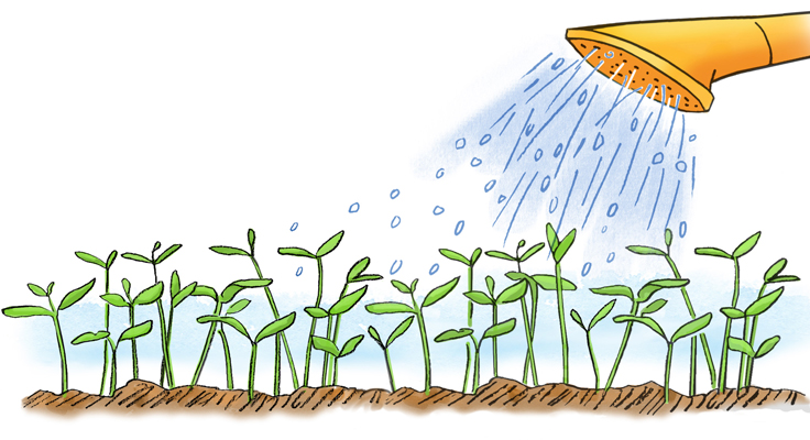 illustration of a watering can with a rose attachment to gently water seedlings