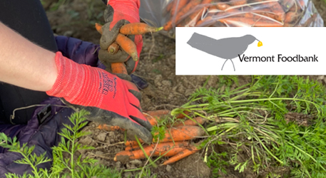 Vermont Food Bank Volunteering