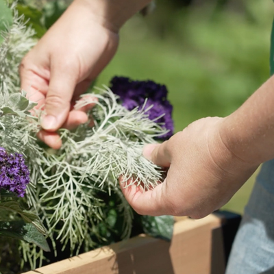  A woman feeling a plant with her hands