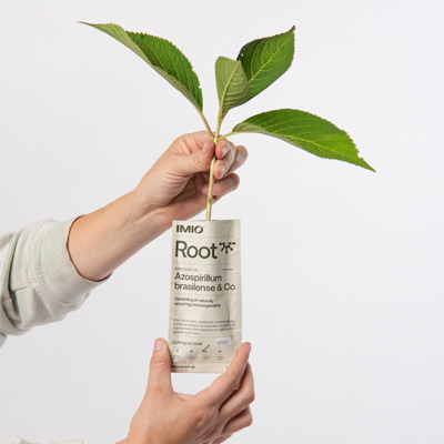  Houseplant being dipped into Imio rooting aid