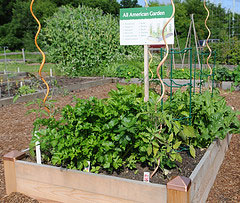 Densely planted beds