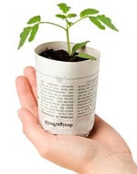 Paper pot from the Paper Pot Maker