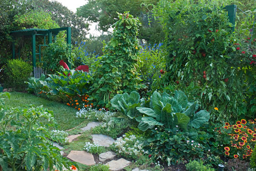 stepping stones along the edge of an edible landscape 