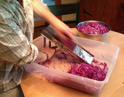 using a mandoline to slice cabbage 