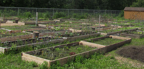 O'Brien Community Center Garden