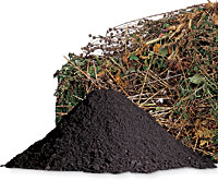 compost ingredients