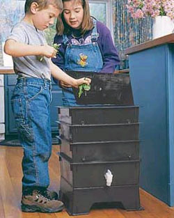 Kids composting with worms