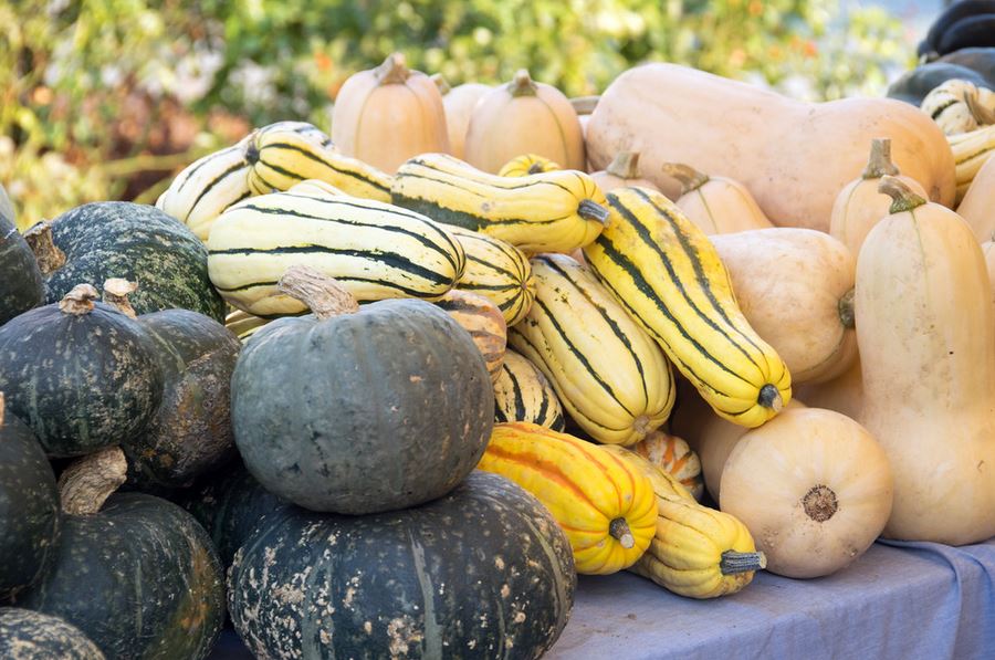 three varieties of winter squash