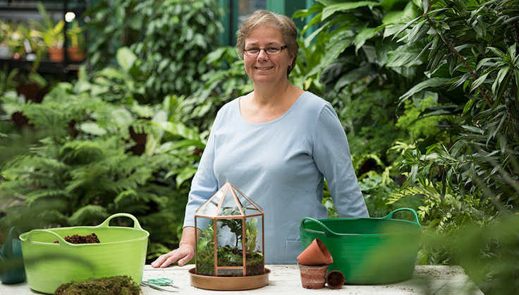 How to build a terrarium 