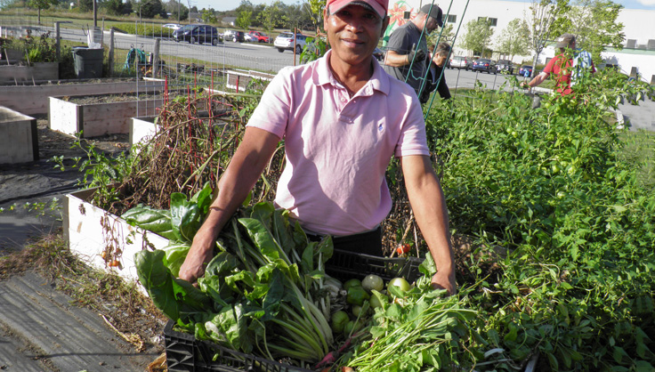 Employee holding crate of vegetables to donate to foodshelf