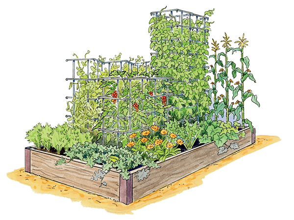 Fun for Kids Garden Illustration