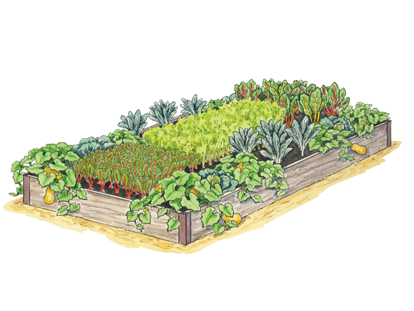 Giving Garden Illustration