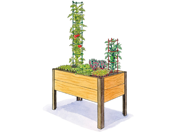 SaladGarden2x4.jpg