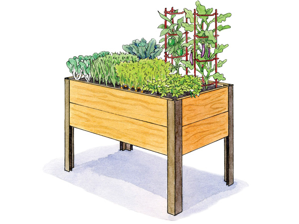 Stir Fry Garden 2x4 Illustration