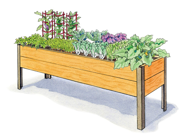 Stir Fry Garden 2x8 Illustration